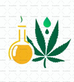 CBD Öl